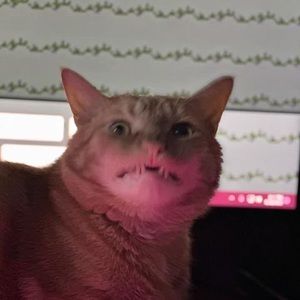 Meet your Posher, Courtney